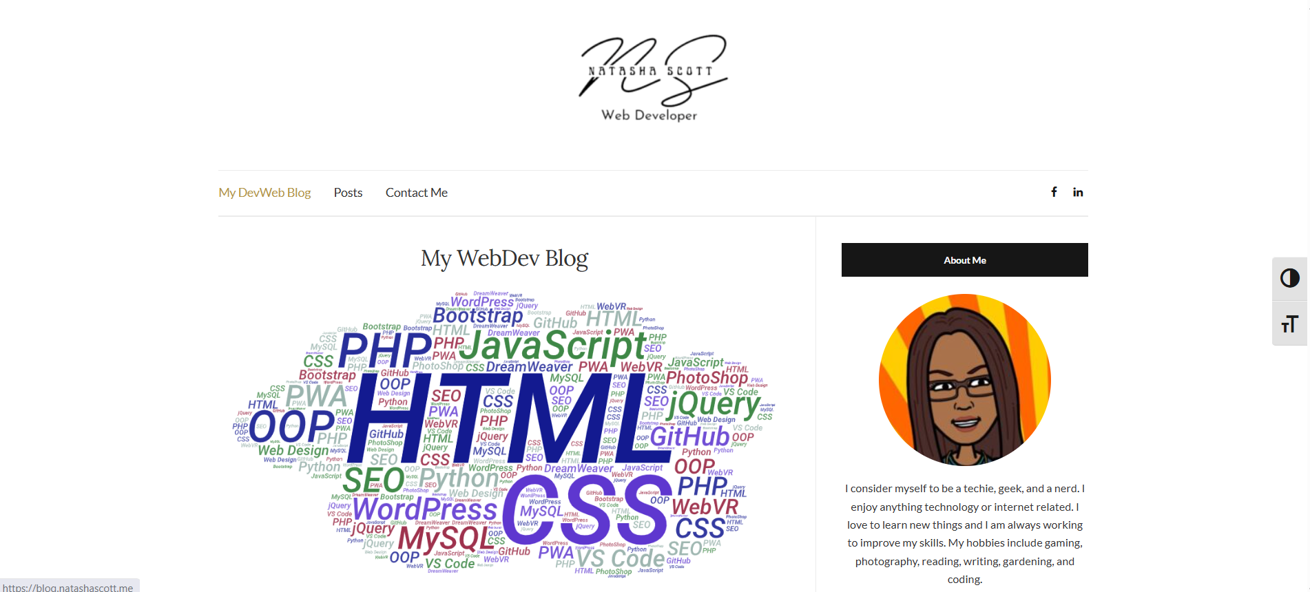 Internship blog project screenshot