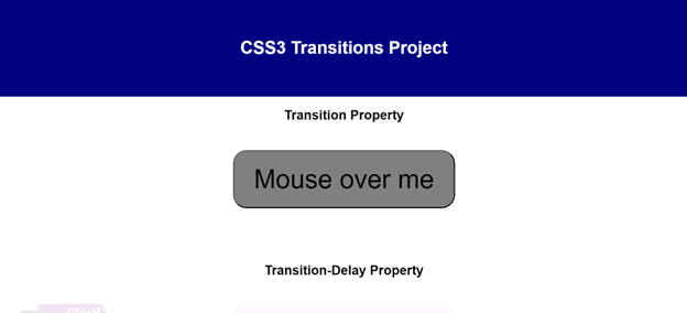 CSS Transition Project